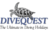 DiveQuest